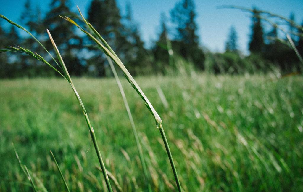 Et id quibusdam voluptatem qui id aut.