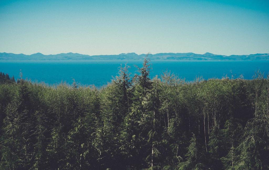 Quae recusandae et impedit facere.