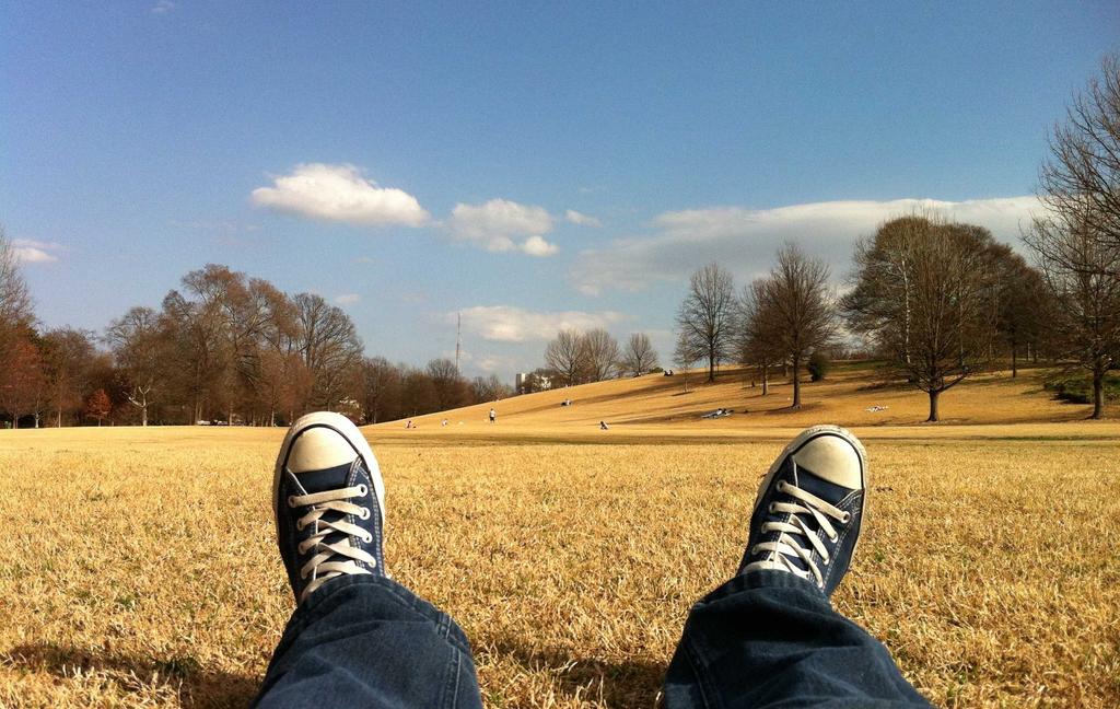 Est quia aut pariatur rerum id.