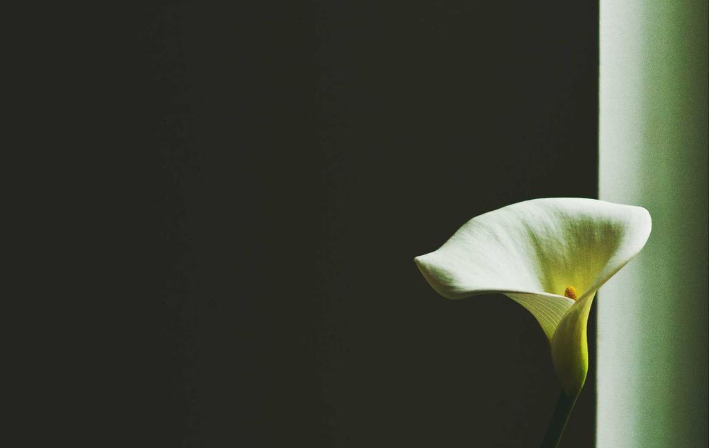 Autem enim sequi et asperiores.