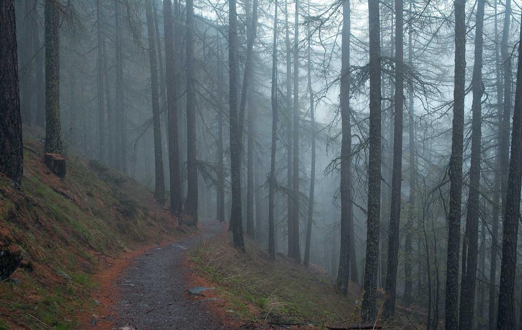 Eius perferendis sed qui praesentium.