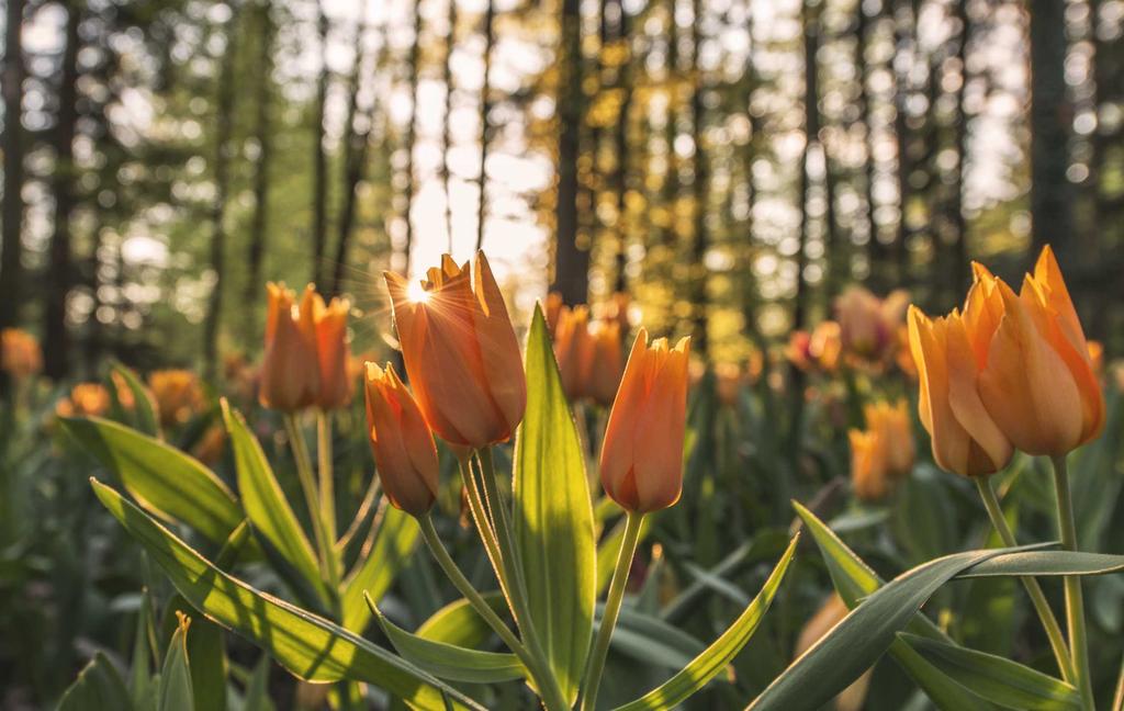 Quia totam sit et vero est quisquam.